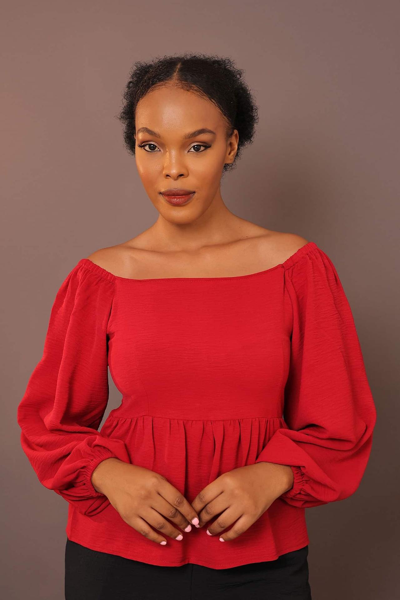 Puffy Sleeve Blouse in Unknown